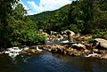 Swasey Branch, Toledo District, Belize