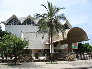 Teatro Amira de la Rosa