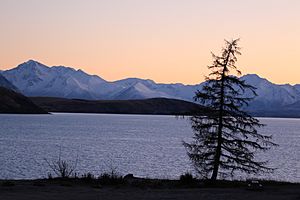 Tekapo 27