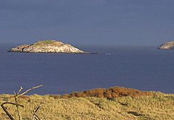 View from Yellowcraigs