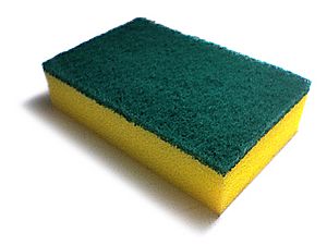 Urethane sponge1