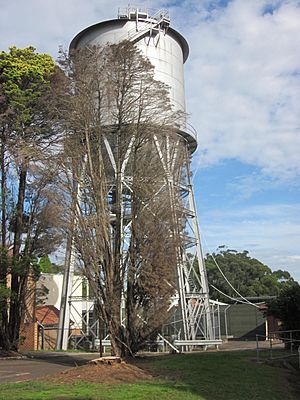 Wahroonga Reservoir 02.jpg