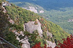 Whiteside Mountain cliffs 2