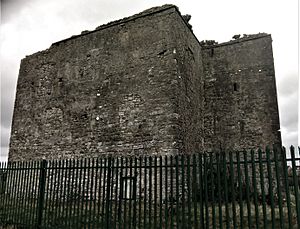 Woodstock Castle, Athy.jpg