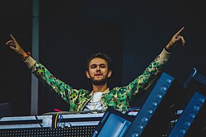 Zedd at Veld 2017