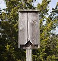 Bat box in Jamaica Bay Wildlife Refuge (41119)