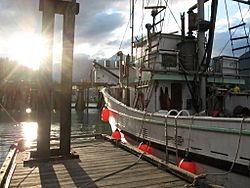 Bella coola docks