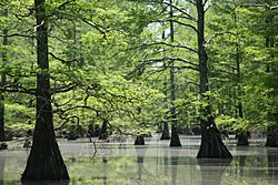 Big Lake Refuge (12293852915)