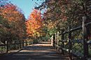 Blackstone-River-Bikeway.jpg