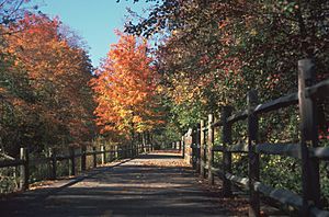 Blackstone-River-Bikeway