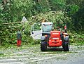 Dégats Ouragan Maria (nettoyage des routes)