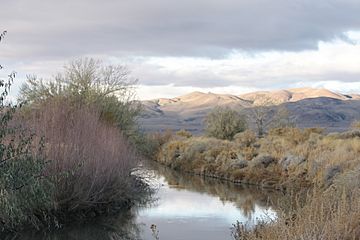 Dead Camel Mountains.jpg