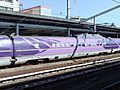 EVA526-7002