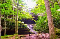 Ferne Clyffe State Park