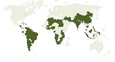 Final SSC Map