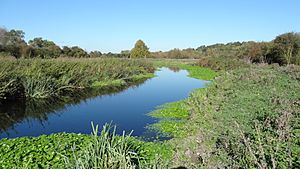 Frays River in Frays Farm Meadows.jpg