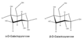 Galactose Sessel-Konformation