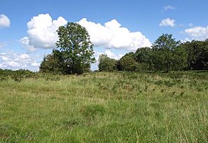 Geograph 2559806 Burrington Ham.jpg