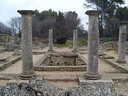 Glanum Maison des Antes