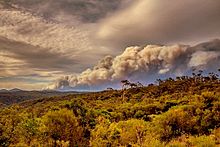 Gospers Mountain Fire