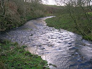 Hareshawmuir Burn