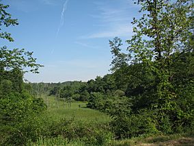 Hillman State Park.jpg