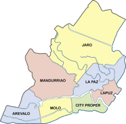 Iloilo City district map