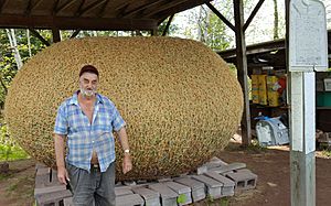 James Frank Kotera and his ball of twine