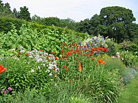 Jekyll Manor House Border