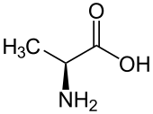 L-Alanin - L-Alanine.svg