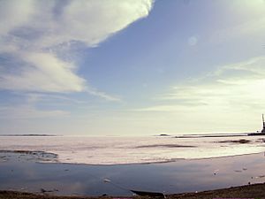 Lake Balkhash, 2008