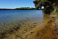 Lake Rototoa New Zealand 1