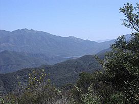 Los Padres S.jpg