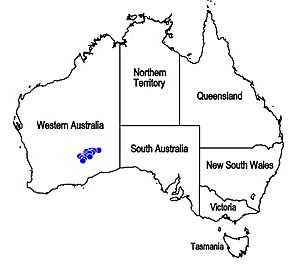 Map.Dicrastylis cundeeleensis.jpg