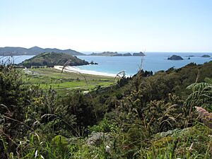 Matauri Bay5