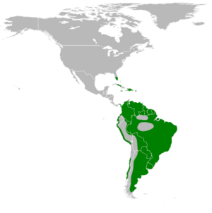 Molothrus bonariensis map.svg