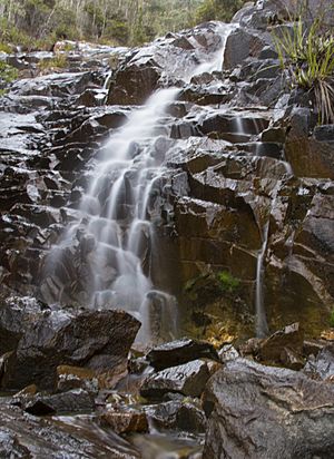 New Town Rivulet Waterfall-2