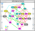 Octahedral subgroup tree