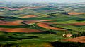 Palouse Hills from Steptoe Butte