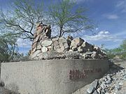 Phoenix-Rose Paulson House Chimney-1940-1