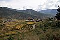 Punakha-04-Reisterrassen-2015-gje