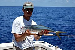 Rainbow runner on fly