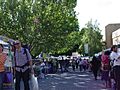 Salamanca Market, Hobart, Tasmania