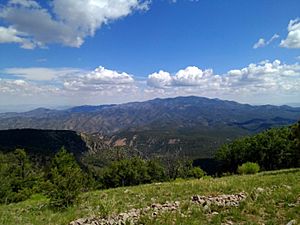 San Mateo Mtns South