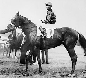 SirBarton-Johnny Loftus-1919Preakness.jpg