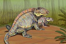 Sphenacodon2