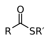 Thioester-2D-A