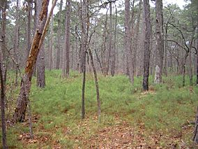 Tyler State Park (Texas)-0125.JPG