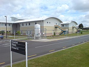 Waitakere Hospital Some Views II