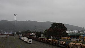 Whangārei railway yard